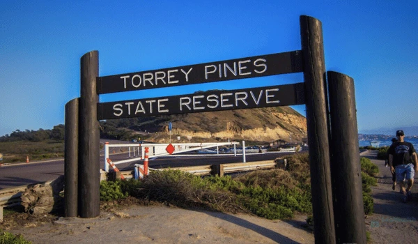 Locksmith Magic mobile locksmith van near Torrey Pines State Reserve in San Diego — providing car key replacement and lockout services. Call now Torrey Pines Locksmith.